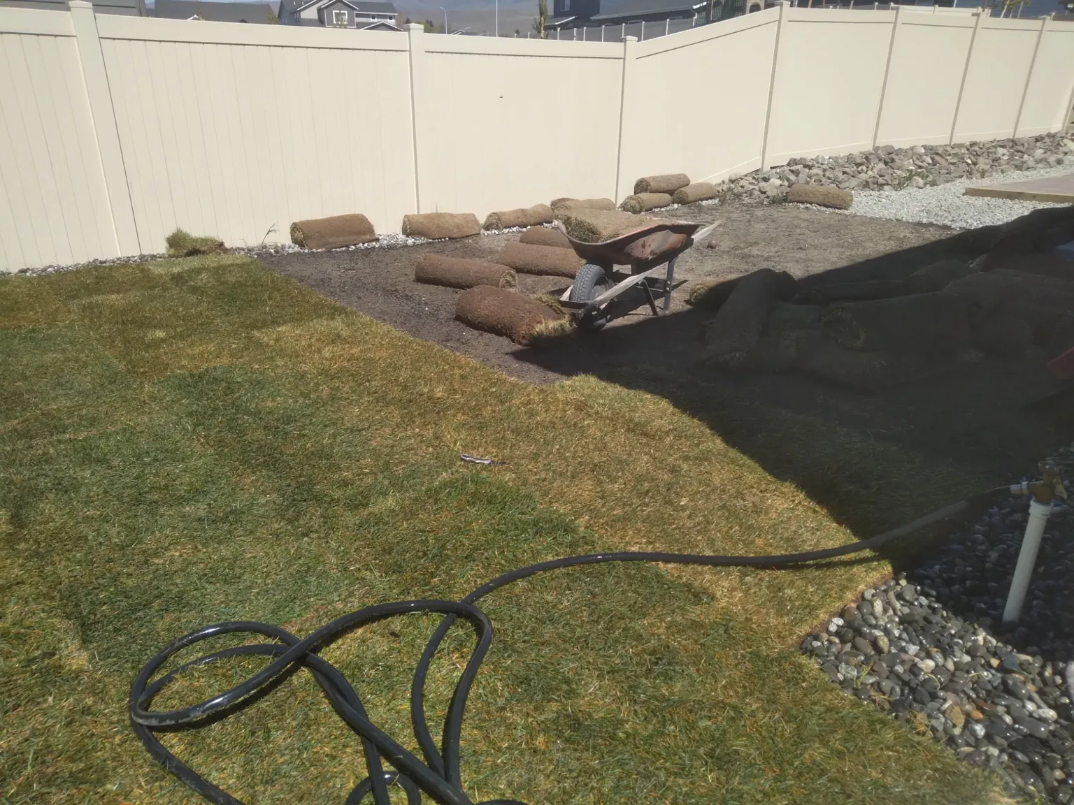 Complete yard transformation and debris removal
