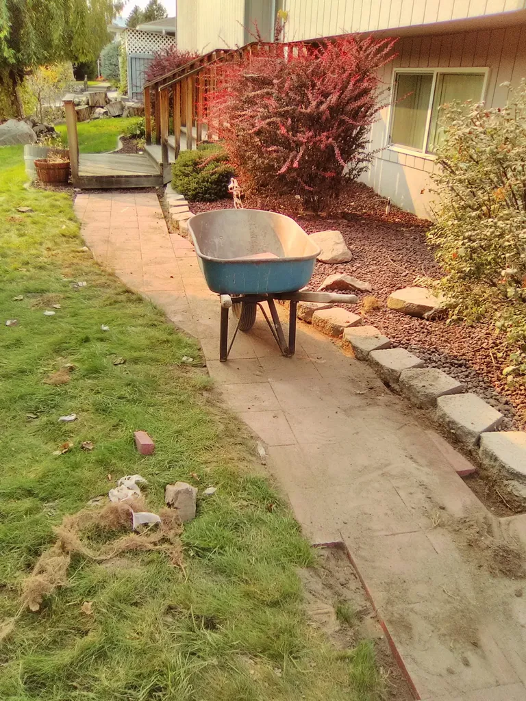 Professional lawn installation and landscaping